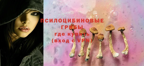 кокс Белокуриха